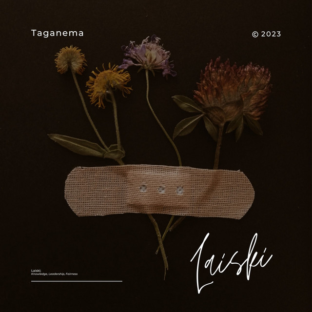 Laiski cover