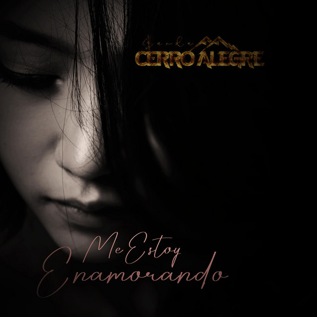 Artist "Banda Cerro Alegre" 67d57aec-0097-4437-9f44-6043b806b1b7 on Tickeri