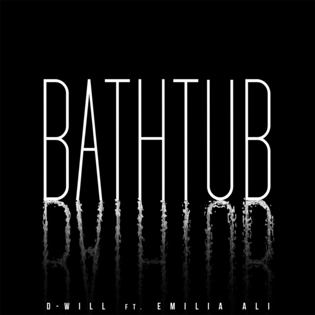 Bathtub cover art