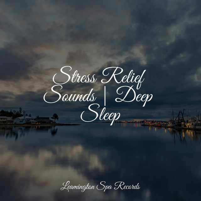 Stress Relief Sounds | Deep Sleep - Album by Study Music | Spotify