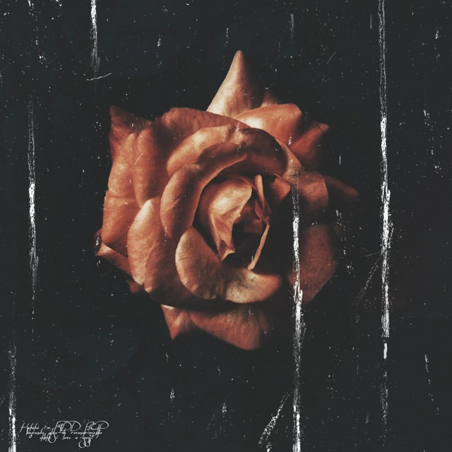 oops sorry cover art