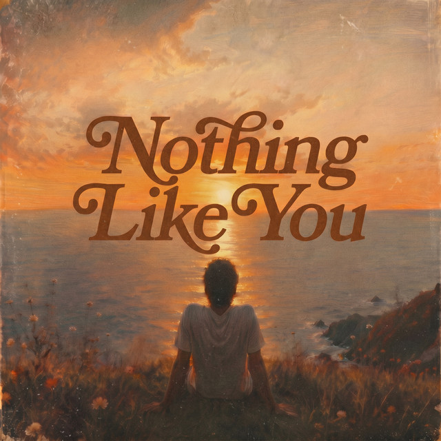 Nothing Like You cover