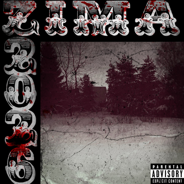 ZIMA 2026. cover art