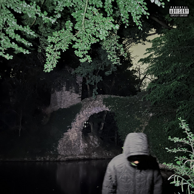 NIEUW DUIZ cover art