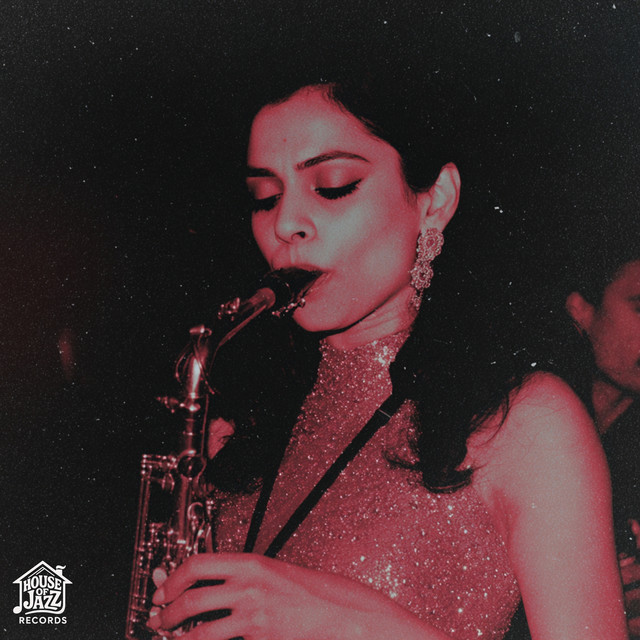 Chandni Groove by Hari J.