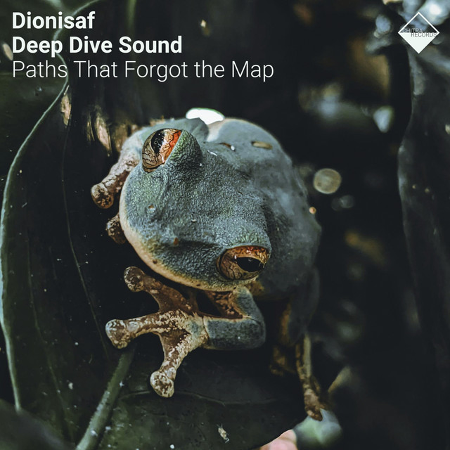 Paths That Forgot the Map cover art
