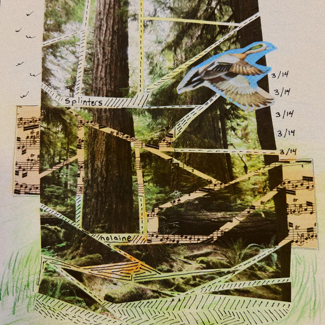 splinters