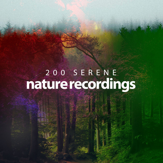 200 Serene Nature Recordings ! ! ! ! - Album by Sleep Sounds Of Nature ...