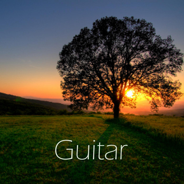Guitar cover art