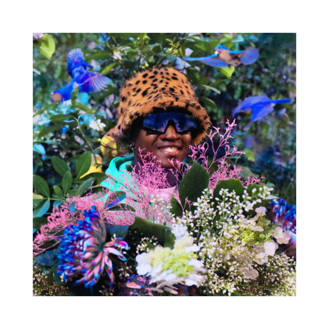 VAMOS NESSA! cover art