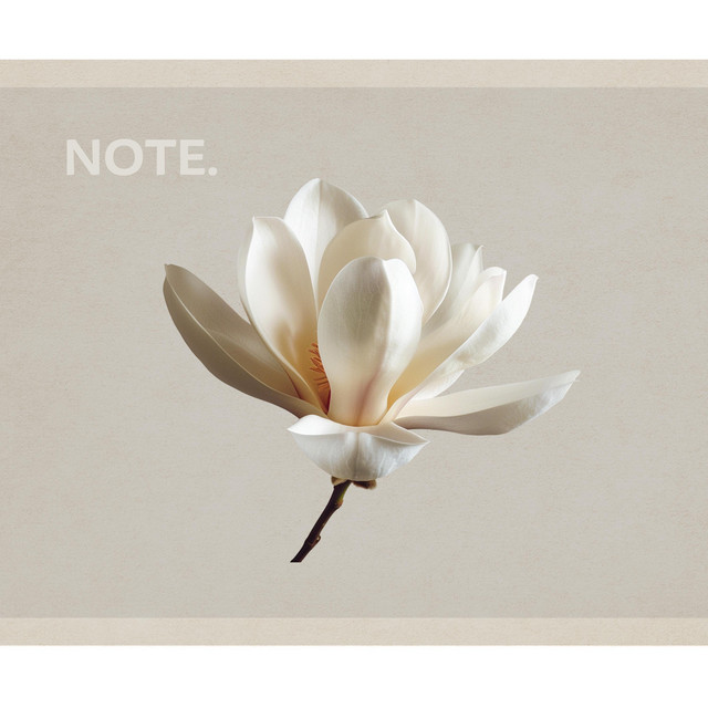 Traces of Light Beneath the Bloom