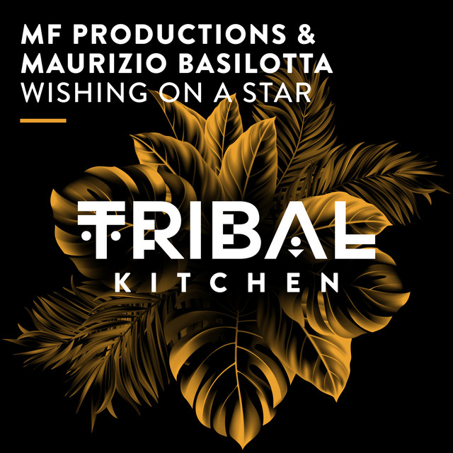 Wishing on a Star - Extended Mix album art
