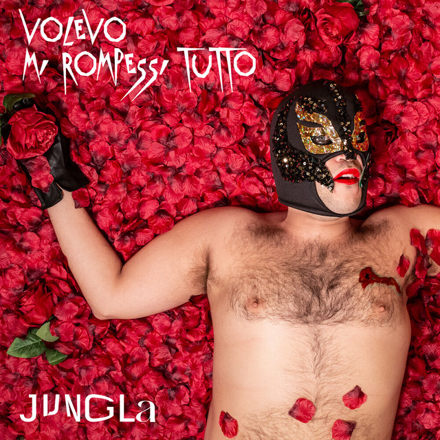 Volevo Mi Rompessi Tutto cover art