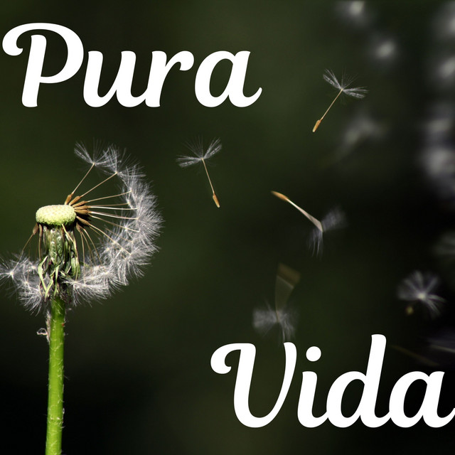 Pura Vida Single By Juan Mitchell Spotify
