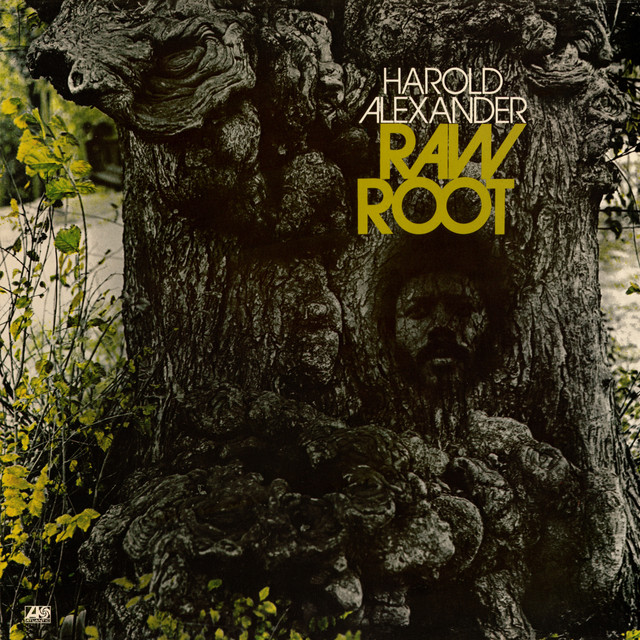 Raw Root cover