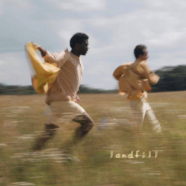 Lndfl cover art