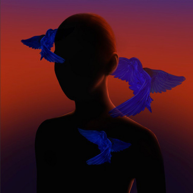 Cover art: Птицы — Inna Godunova
