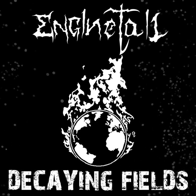 Decaying fields cover art