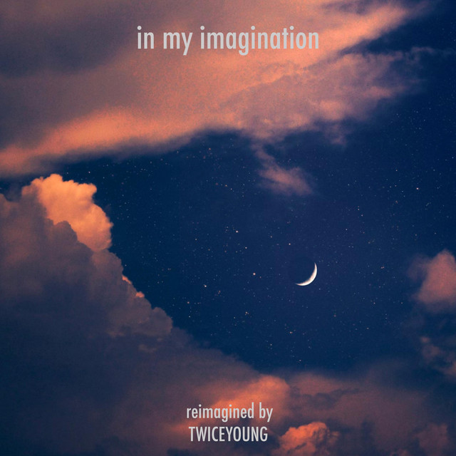 in my imagination (reimagined) cover