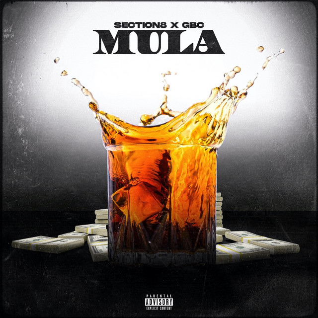 Mula cover