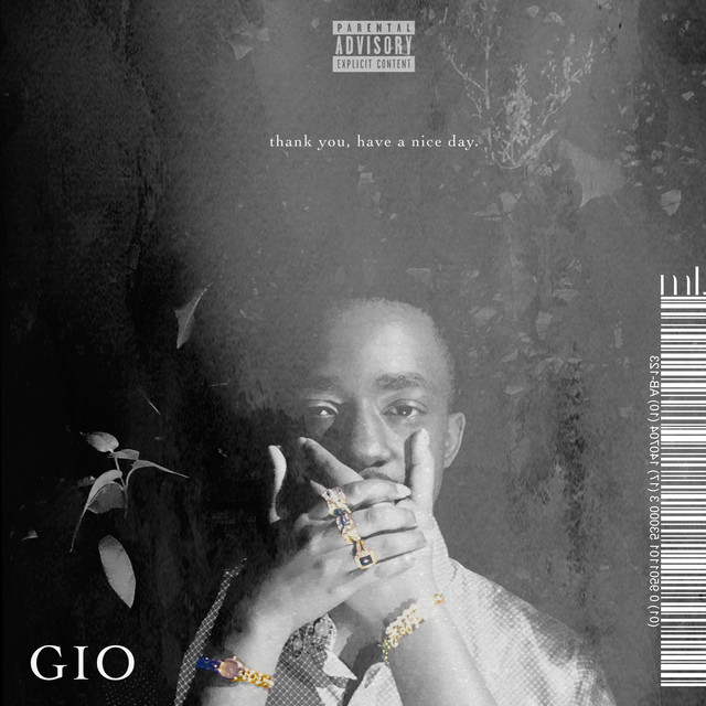 Thank You, Have a Nice Day cover art
