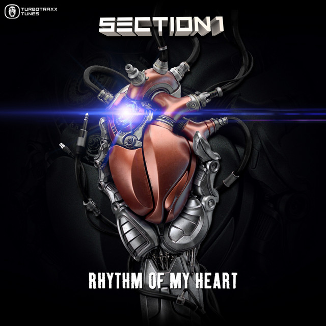 Rhythm Of My Heart cover art
