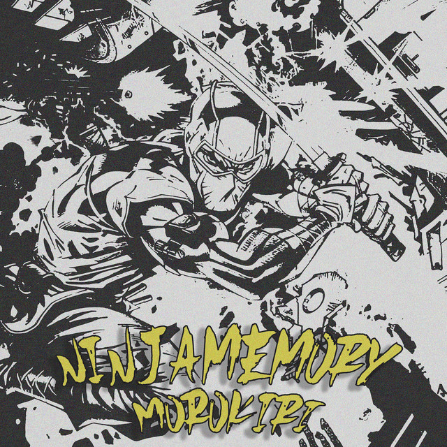 Ninja Memory cover art