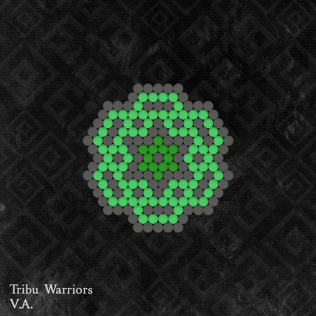 Tribu Warriors V.A. cover art