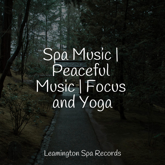 Spa Music | Peaceful Music | Focus and Yoga - Album by Lullaby Rain ...