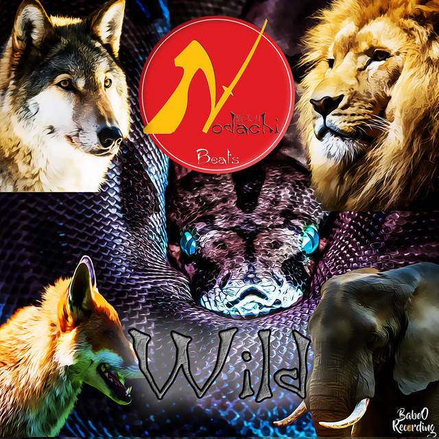 Wild cover art