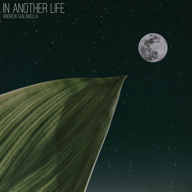 In Another Life cover art