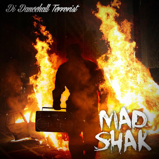 Di Dancehall Terrorist cover art