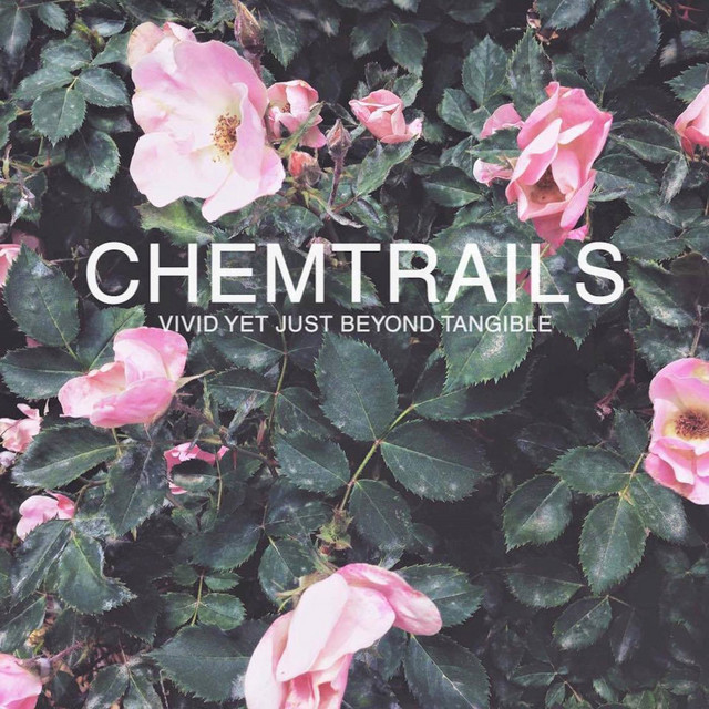Vivid Yet Just Beyond Tangible cover art