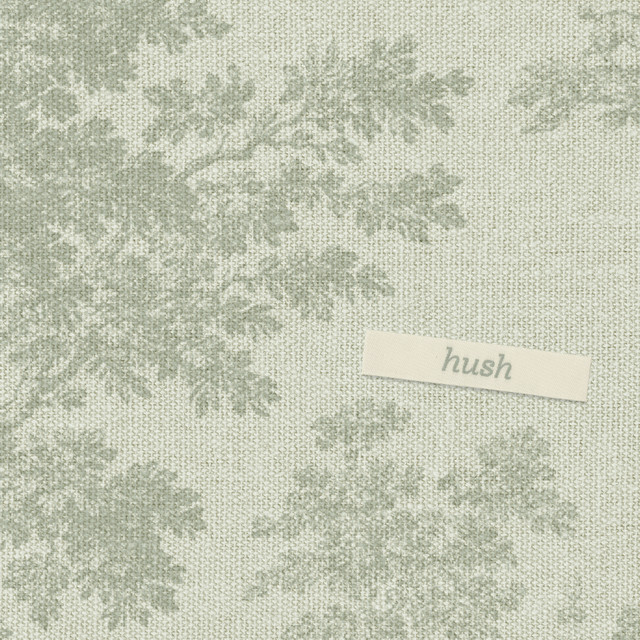 hush album image