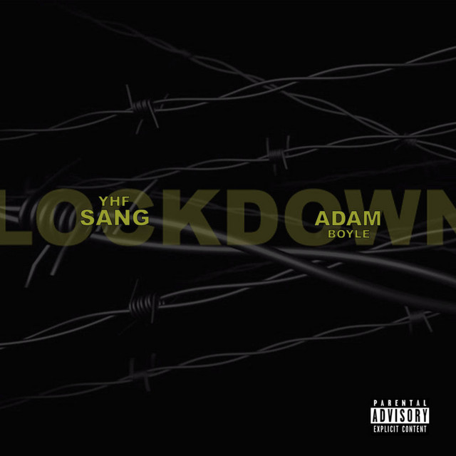 Lockdown cover art