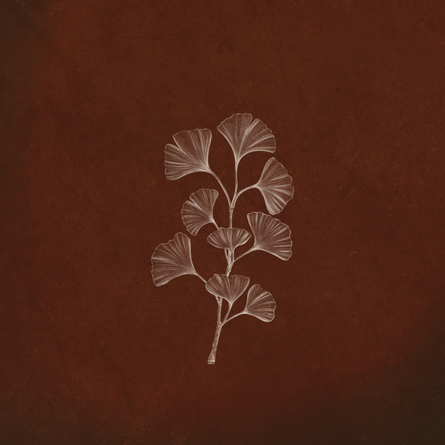 Autumn Journey album image