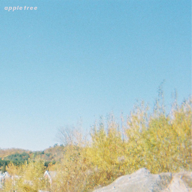 Apple Tree cover art