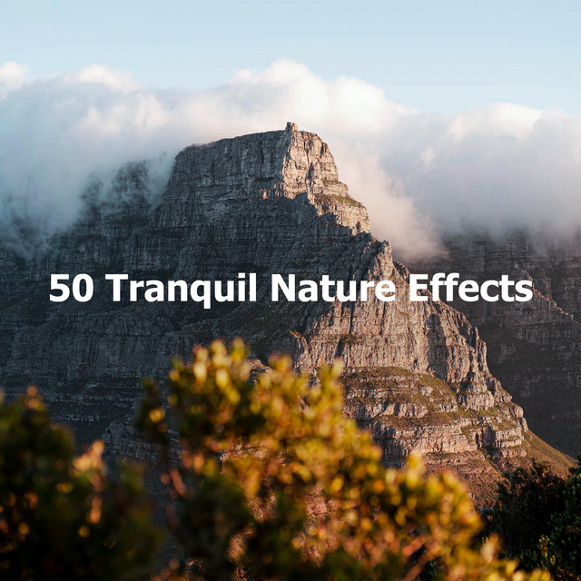 50 Tranquil Nature Effects - Album by Tranquil Music Sound of Nature ...