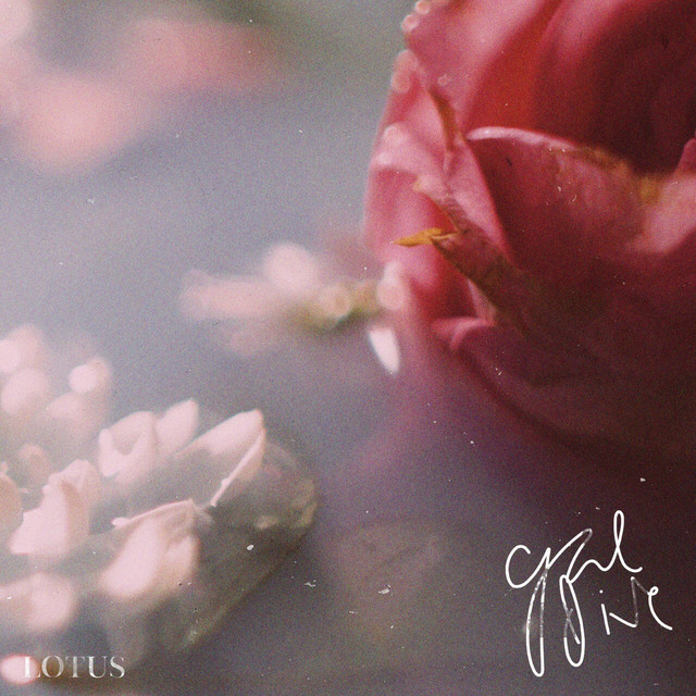 Lotus cover art