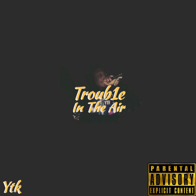 Trouble In The Air cover art