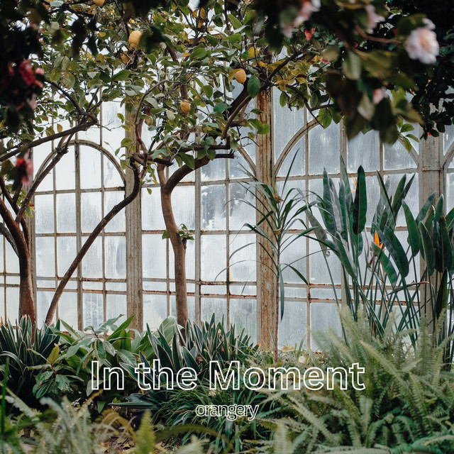 Обкладинка: In the Moment — orangery