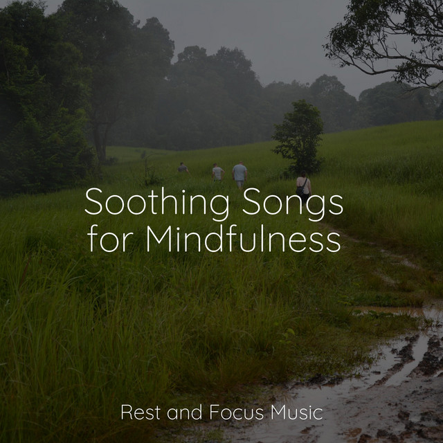 Soothing Songs for Mindfulness - Album by Deep Relaxation Meditation ...