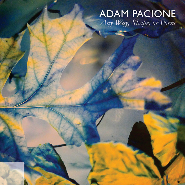 Any Way, Shape, Or Form cover art