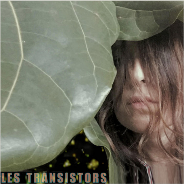 Les Transistors cover