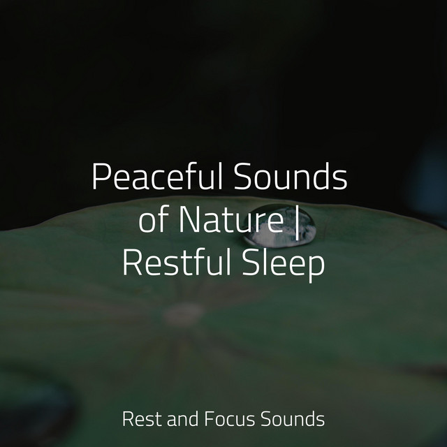 Peaceful Sounds of Nature | Restful Sleep - Album by Musica Reiki | Spotify