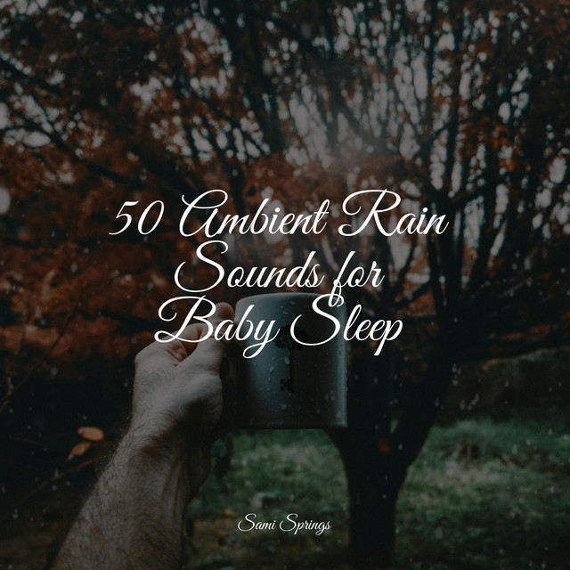 50 Ambient Rain Sounds for Baby Sleep - Album by Entspannungsmusik Oase ...