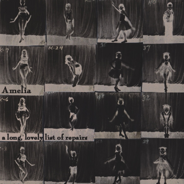 A Long, Lovely List of Repairs cover art