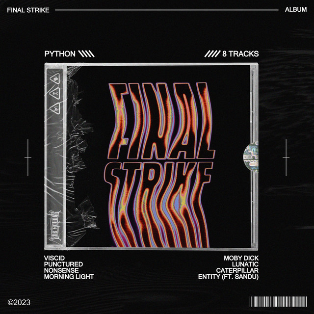 Final Strike cover art