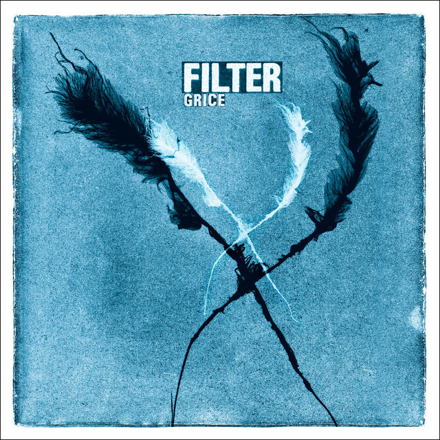 Filter cover