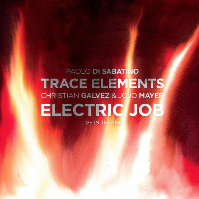 Electric Job (feat. Paolo Di Sabatino, Christian Galvez, Jojo Mayer) [Live in Teramo]